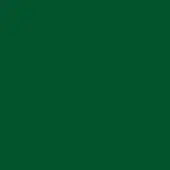Deep forest green color field, matte finish, uniform tone, solid background, digital swatch, consistent hue, flat color presentation, no texture.